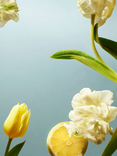 Rituals Amsterdam Collection Easter Gift Set 0076 фото